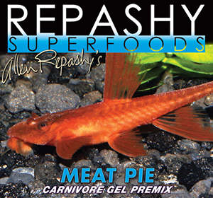 repashy meat pie fish