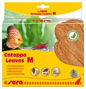 sera-catappa-leaves-m-10-st